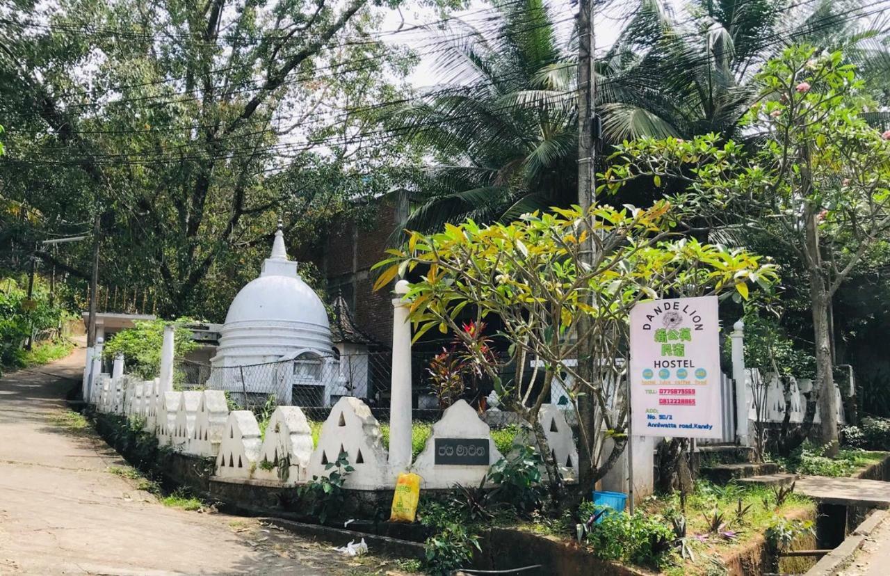 中国蒲公英民宿dandelion Guest House Villa With Mount View 캔디 외부 사진